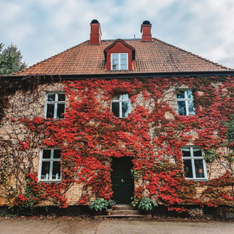 Foto: H�r och D�r