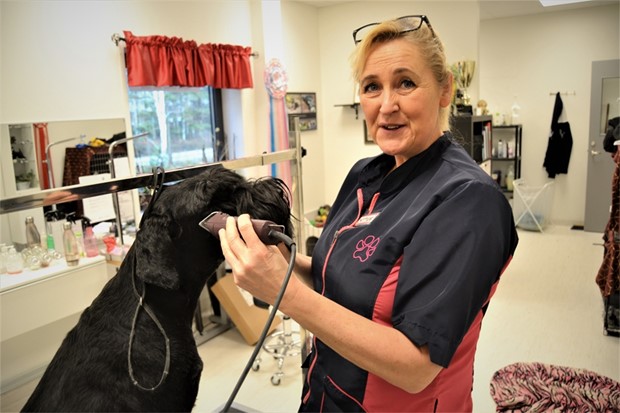 Chottans Hundtrim har flyttat in i Smdjursdepn