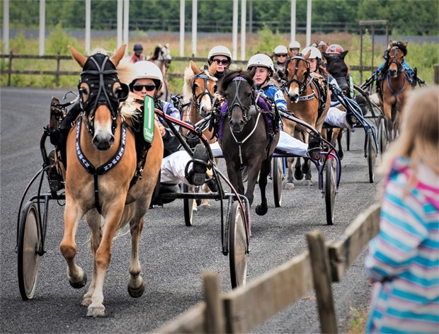 Travklubben p gng igen - nu vill man n barn frn Vxj och Alvesta