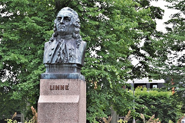 �Vi vill koppla Linn� till Black Lives Matter�