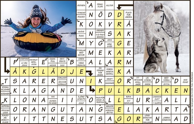 Krysset lsning vecka 9