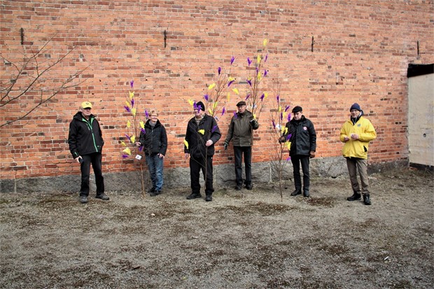 Nu syns Lions pskbjrkar i hela Alvesta