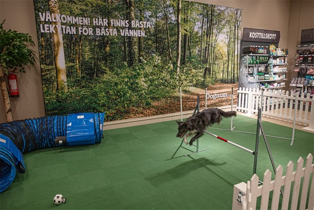 Tassar och Morrhr fr ny gare