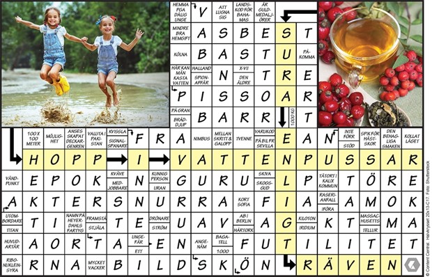 Krysset lsning vecka 17