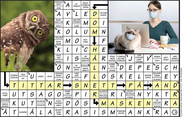 Krysset l�sning vecka 21