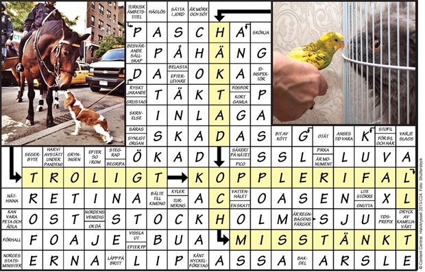 Krysset l�sning vecka 24