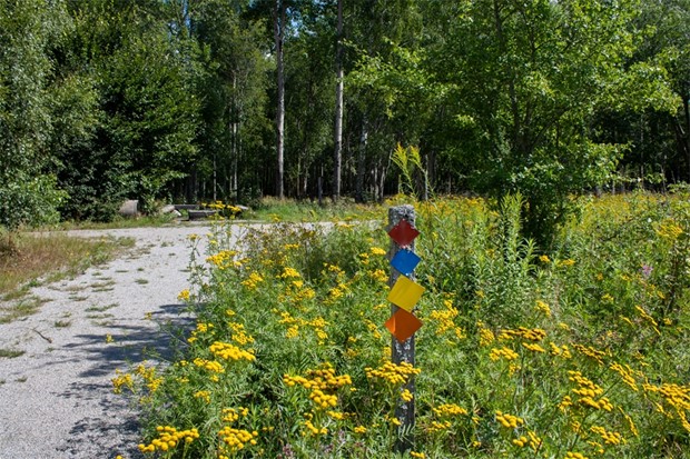 Uppt�ck vandring i sommar