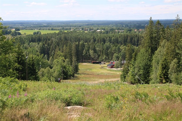 Demokratin fyller 100 r  firas med Demokrativecka