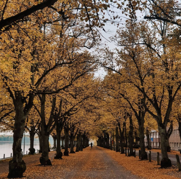 #hejvxo - vi vill se era bilder