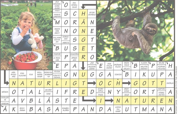 Krysset l�sning vecka 30