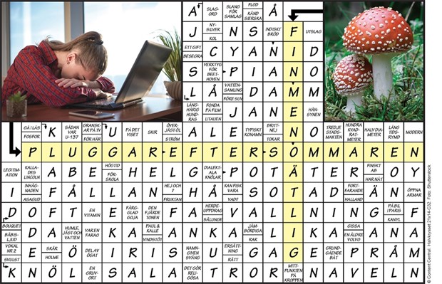 Krysset l�sning vecka 32