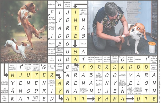 Krysset l�sning vecka 35