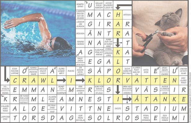 Krysset l�sning vecka 37