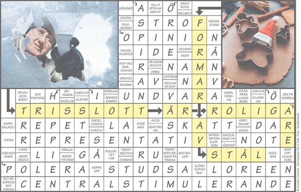 Krysset l�sning vecka 48