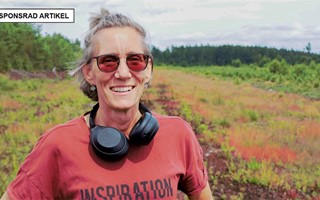 Solparken i Hästhagen – både förnybar energi och biologisk mångfald