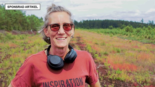 Solparken i Hsthagen  bde frnybar energi och biologisk mngfald 