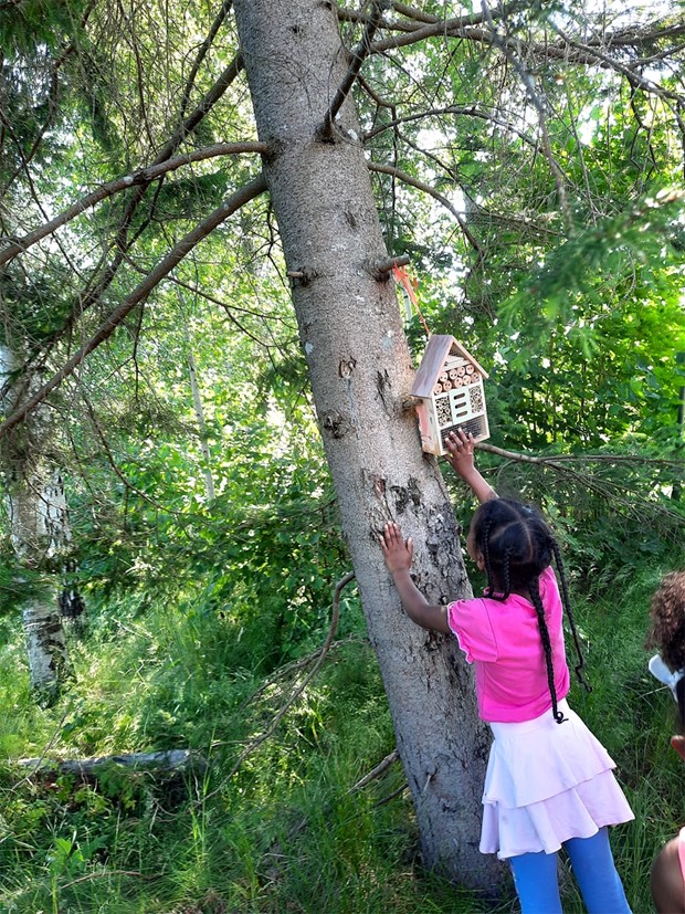 Sommarskoj med Vidingehem 