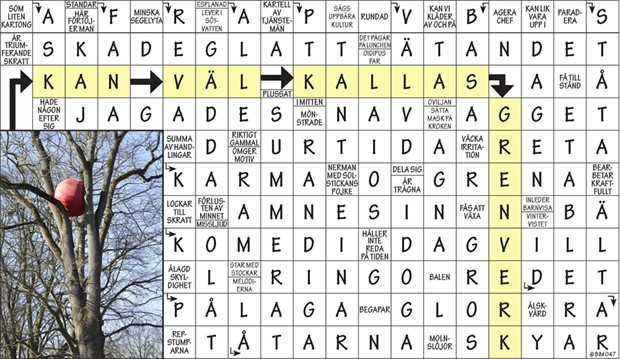 Krysset lsning v27, 2022