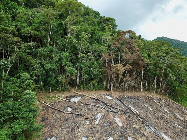 Biologisk m�ngfald med hj�lp av AI