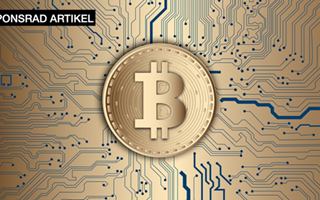 Har kryptovalutan en plats i en finanskris?