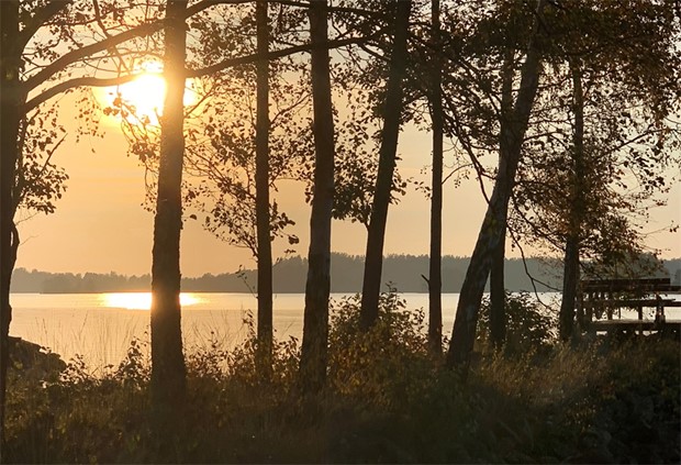 Mnga skl att skta sjns vatten