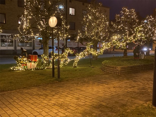 Namnge kommunens nya ren - vinn en egen liten ren