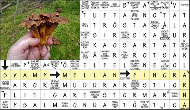 Krysset vinnare v48, 2022