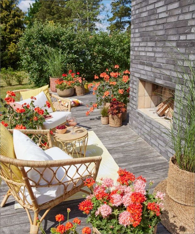 Skapa vackra rum ute med pelargoner 