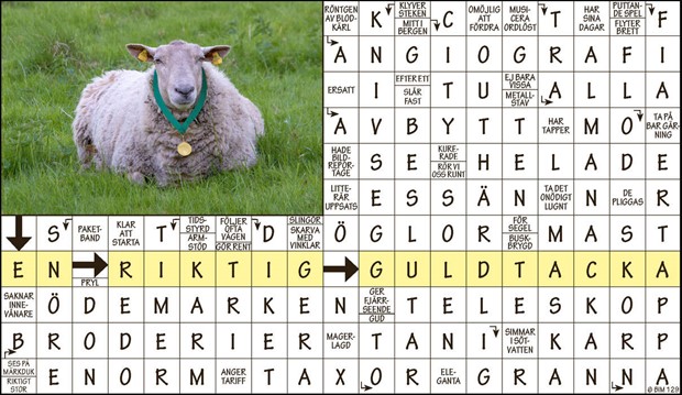 Krysset vinnare v5 2023