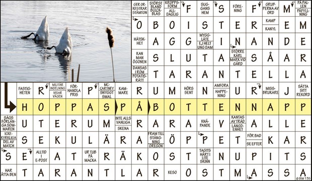 Krysset vinnare v12 2023