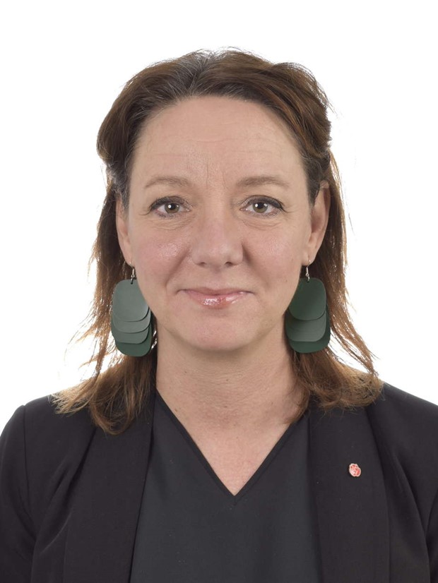 F�re detta statsr�d talare i V�xj� p� 1 maj 