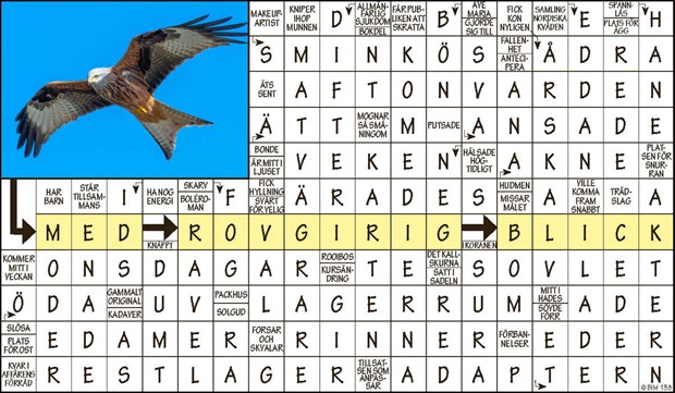 Krysset vinnare v15 2023