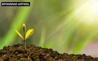 Stark tillväxt för svensk spelmarknad – väntas fortsätta 2023