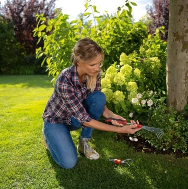 Spara vatten i trdgrden: 7 tips fr att frhindra torka 