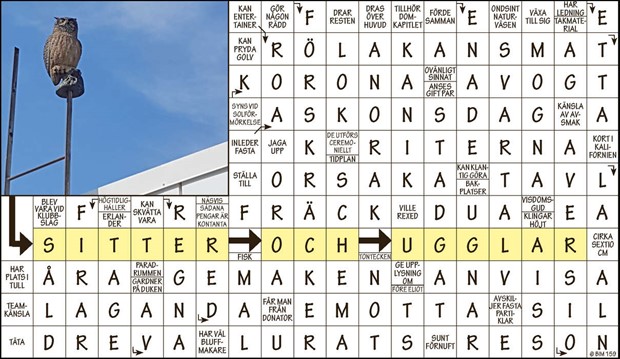 Krysset vinnare v18, 2023