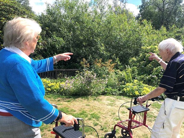 Igenvxt kring Sjparken