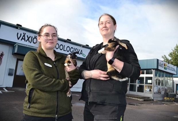 Djuraff�ren firar ett �r: �Det h�r �r en v�ldigt rolig bransch�