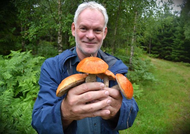 Stuart tr�ttnade p� toppjobbet - satsade p� svamp ist�llet