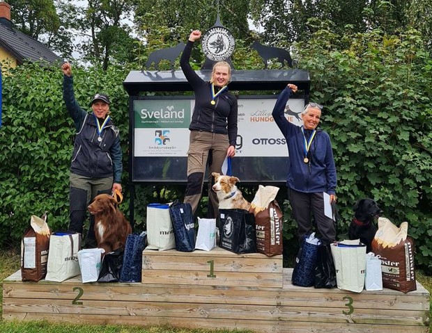 Lyckade SM-tvlingar fr rddningshundar i Vxj