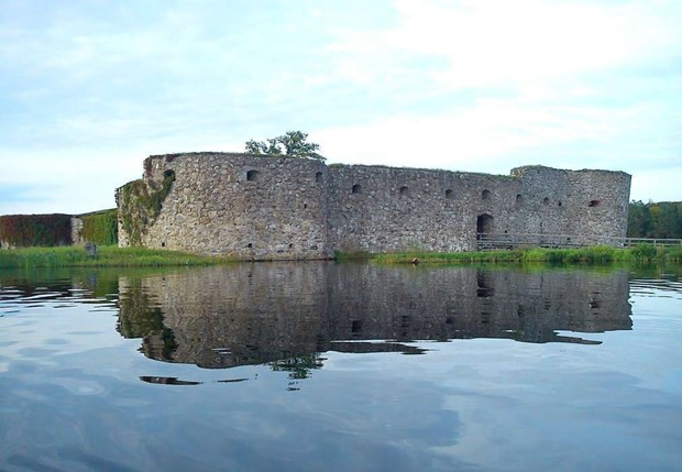 Liberalerna: Lokalt gande ndvndigt fr att rdda Kronobergs slottsruin