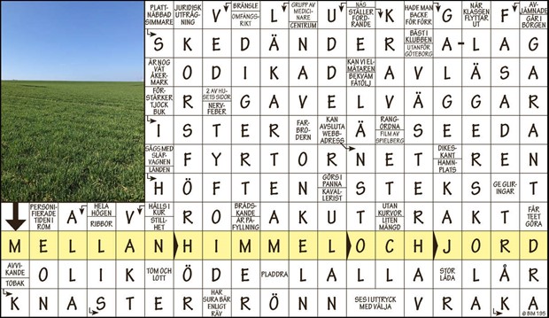 Krysset vinnare v40, 2023