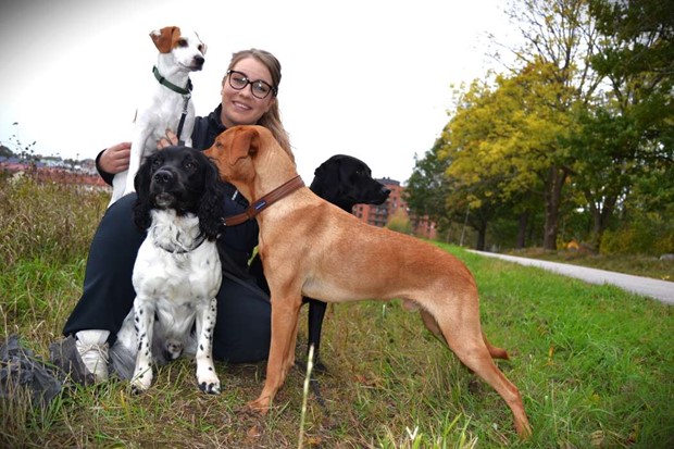 Malin och hennes hundar är årets nyföretagare i Växjö