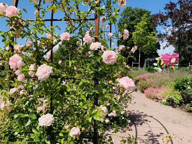 Internationellt roskonvent hlls fr frsta gngen i Sverige 