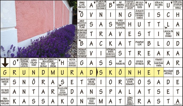 Krysset vinnare v46, 2023