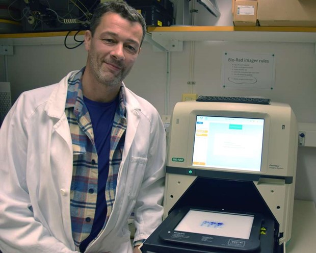 Ny teknik strker forskning om enzymers roll vid utveckling av cancer 