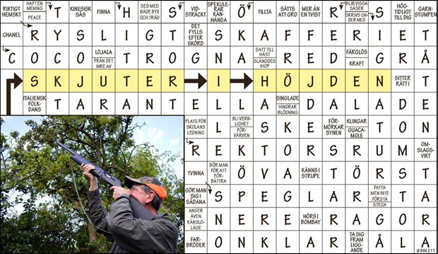 Krysset lsning vecka 7, 2024