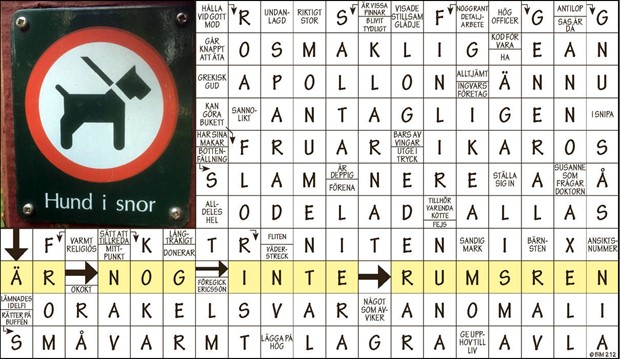 Krysset lsning vecka 8, 2024