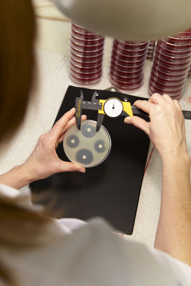 Prestigefyllt uppdrag t Kronoberg-Blekinge