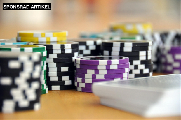 Triumf p Poker-SM: Mstare krnt i Sveriges prestigefyllda pokerturnering 