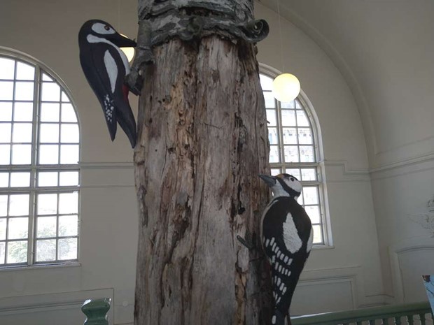 Sommarens utst�llning �r h�r: Biologisk m�ngfald i Alvesta